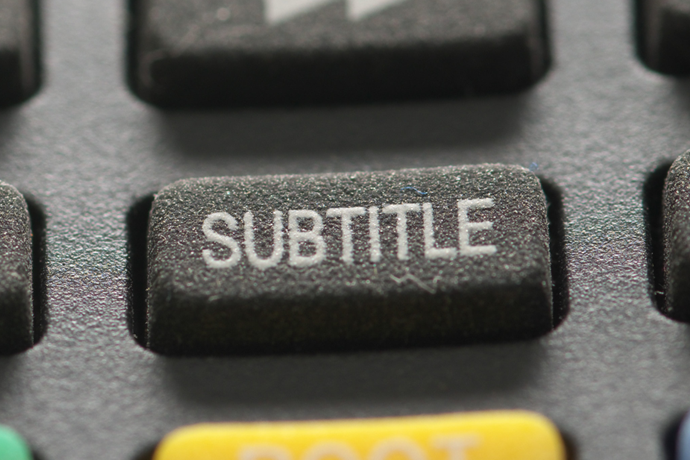 SUBTITLING Services in Delhi, India